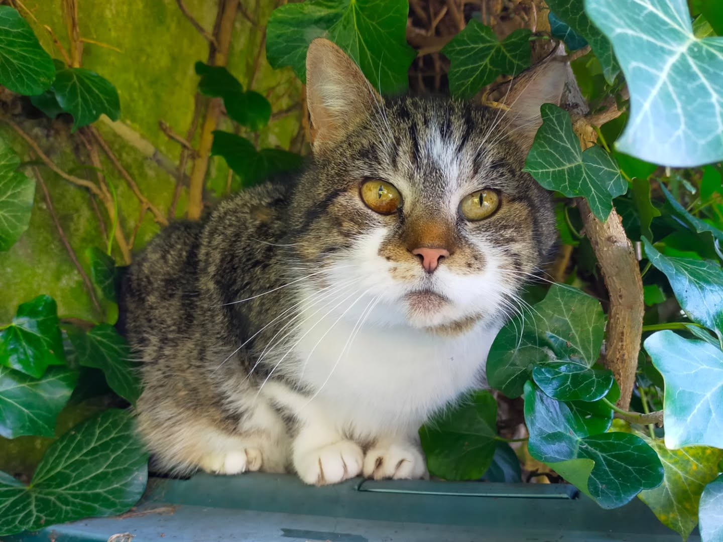bisou ma chacha 🌷 profite bien du printemps 🌞