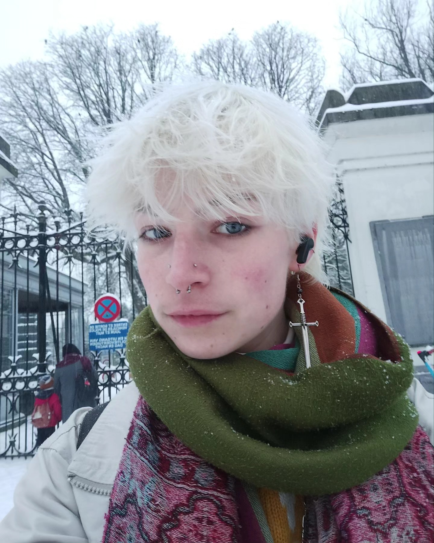 AAAA ma mère a sculpté un Bandy de neige (photo 3)