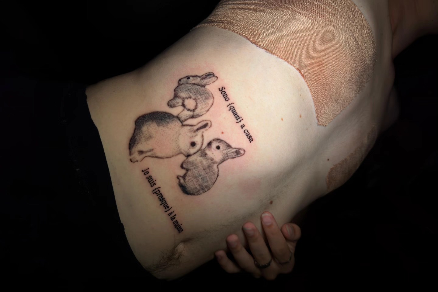 grazie ancora @bambino.techno sei un grande  sono {quasi} a casa ✪ je suis {presque} à la maison
> English yew ✷ branche d&rsquo;if avec baies empoisonnées (ref à warrior cats -⁠ᄒ⁠ᴥ⁠ᄒ⁠-)

con la collaborazione di pipi la micina (⁠=⁠｀⁠ェ⁠´⁠=⁠)