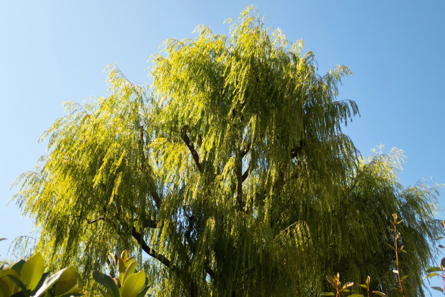 il parco urbAno un anno dopo