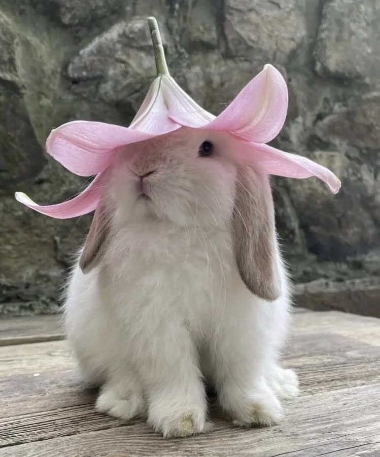 lundi passé avec mamour‼️🕊️💫💓🧜‍♀️🧀