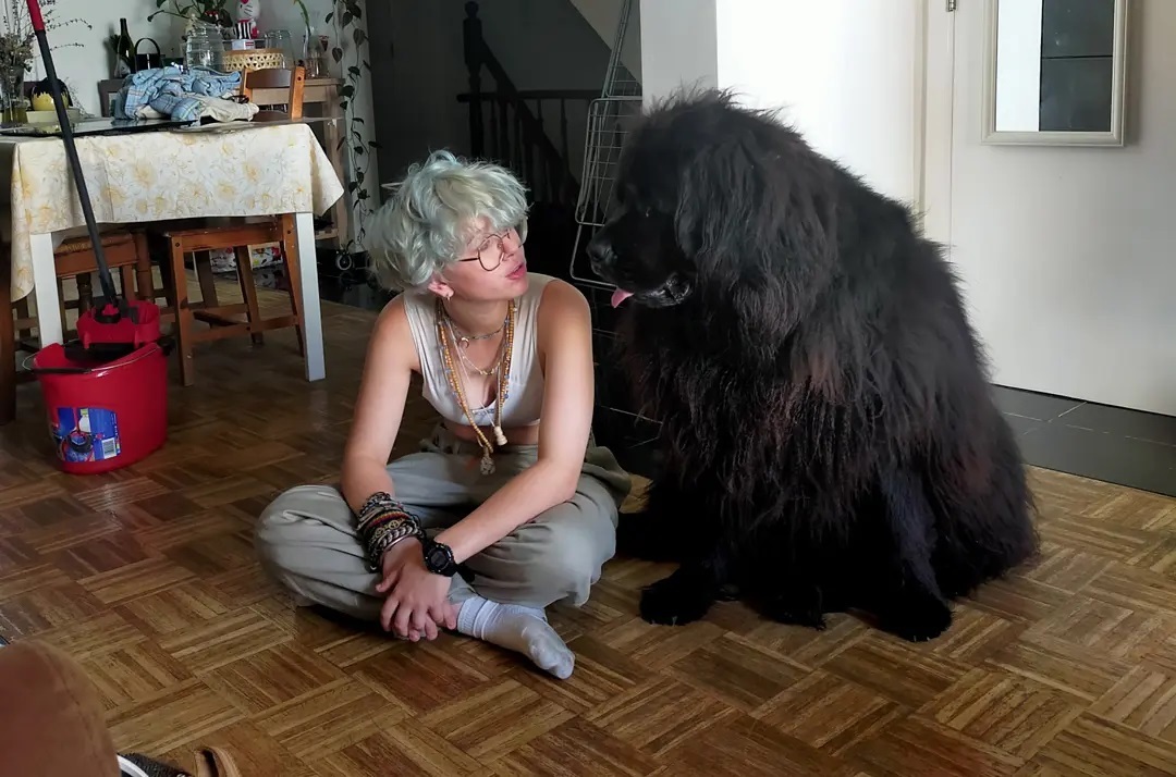 boobie, rentrée et archives