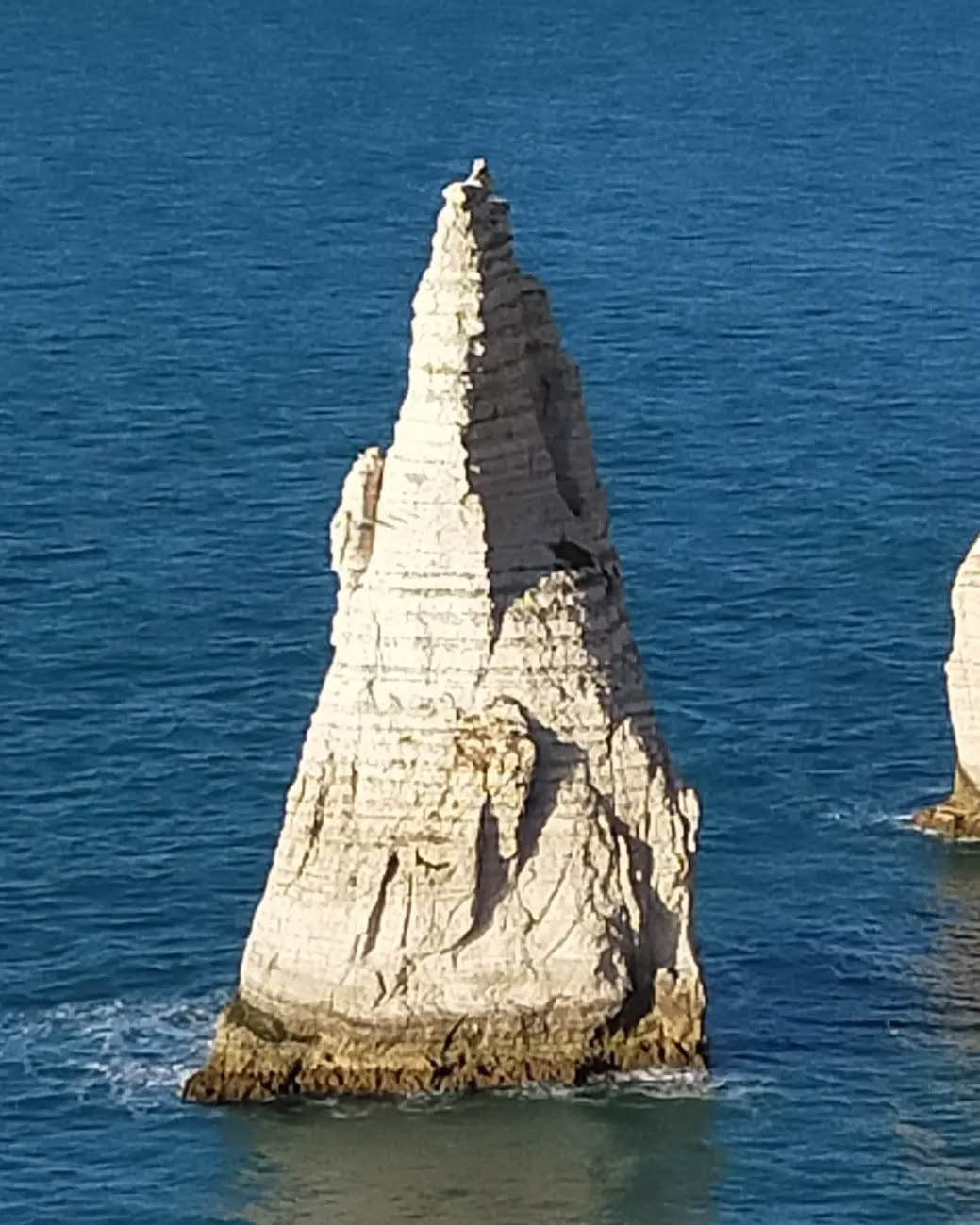 la dernière photo est étonnante 👍👍
