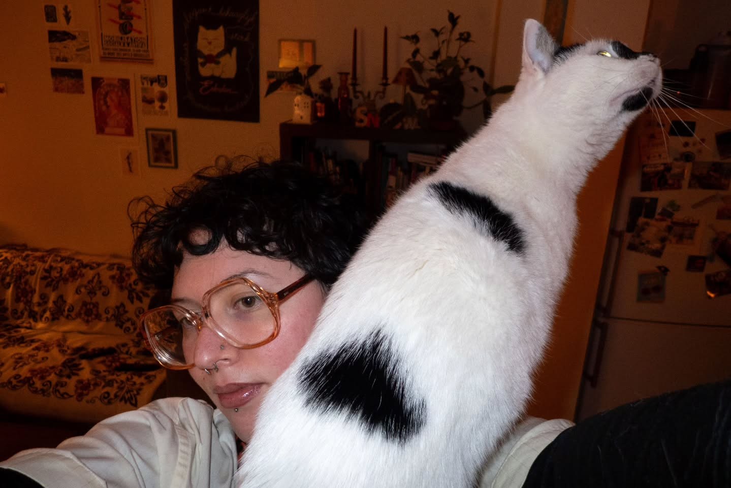 une pomme grimpante et une école de cirque plus tard……. 🤣😻😻💖 #pommedapi #analove #circus