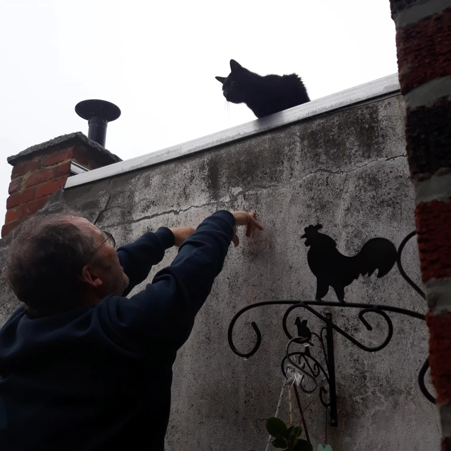 il jacques nel 2006: io non voglio adottare un gatto

lo stesso jacques nel 2024: