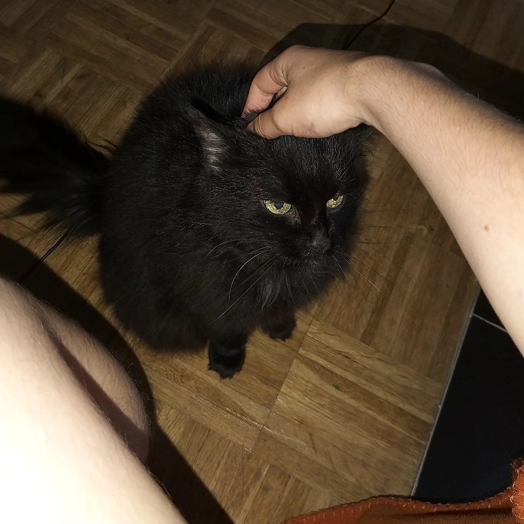 O_O