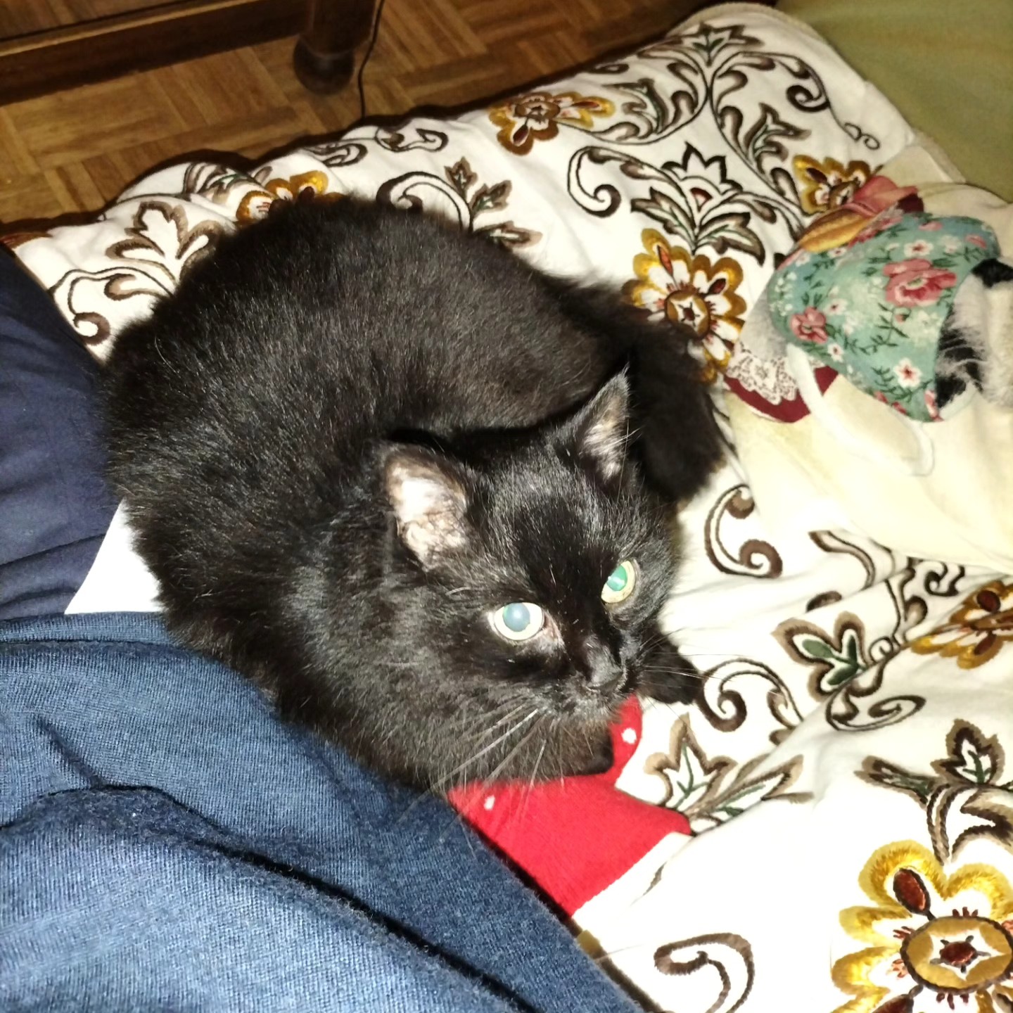 ELLE EST SUR LA BOUILLOTTE À CÔTÉ DE MOI