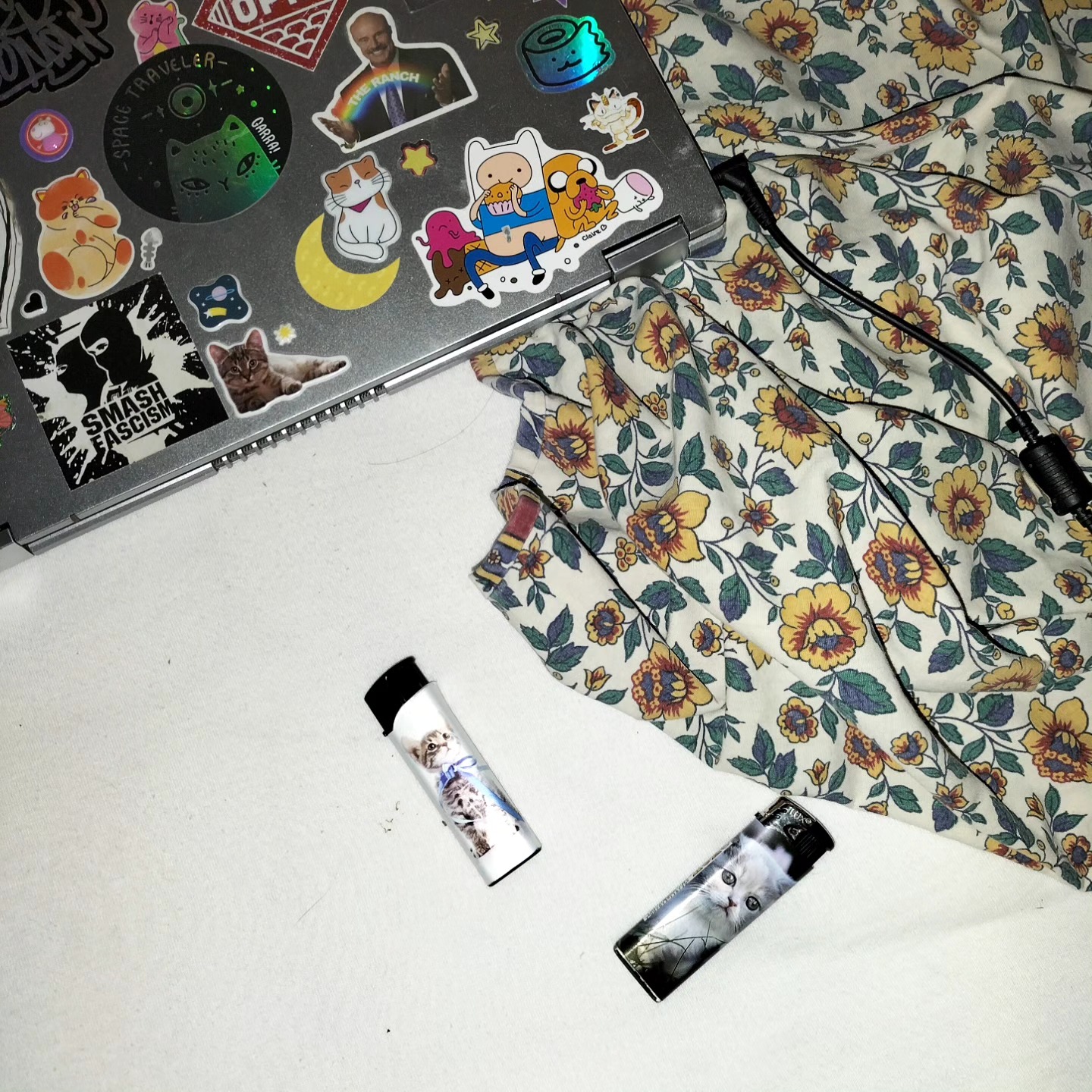 gatti gatti gatti gatti gatti g