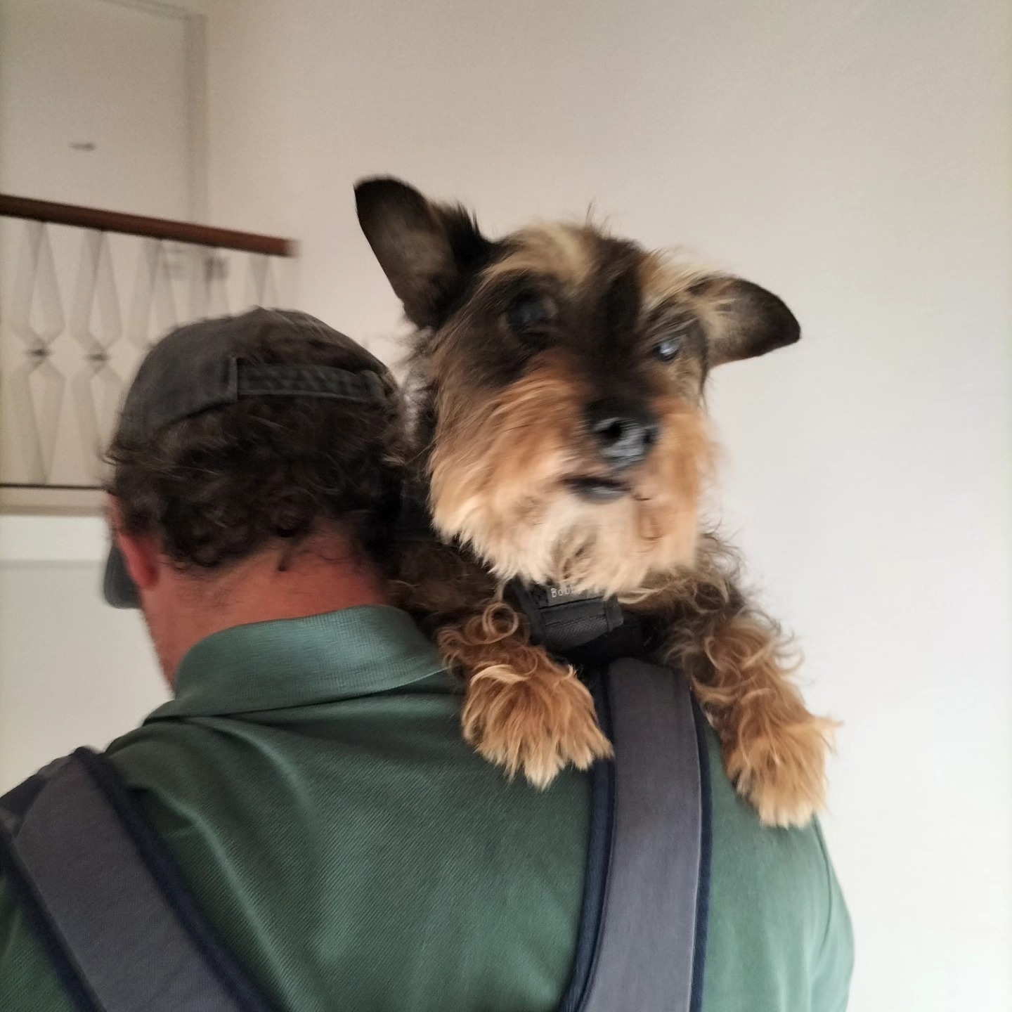 🤟🐶💥 (y’a rien à faire à Forlì du coup on fait que boire des cocktails)