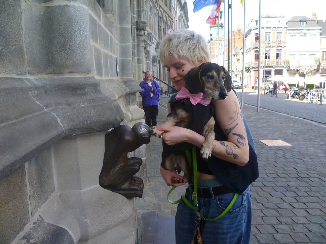 dobbz s’intéresse à la culture montoise 🐒polivaillantsnoblibreverdoyant.esbraveoutréintuitifà l’écoute de son corpsparentalité queer
