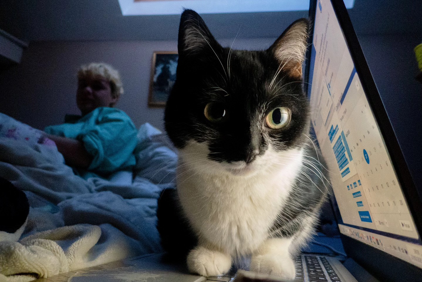 lady juju doing research // the night shop around the corner and their silly fox pillow // HELL (marchienne au pont)