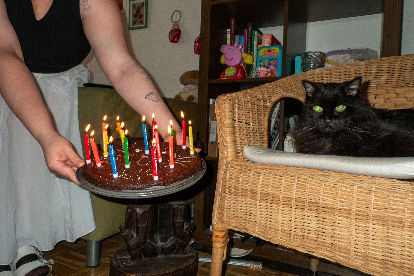 l’anniversaire de zelda (⁠≧⁠▽⁠≦⁠) elle a 16 ans, elle est cancer et elle est très très douce. elle a ses habitudes mais elle nous surprend tous les jours!! c’est ma madame préférée et je sais pas comment j’aurais surmonté tous mes blocus sans elle (⁠ ⁠ꈍ⁠ᴗ⁠ꈍ⁠)

joyeux anniversaire zelda (⁠ ⁠˘⁠ ⁠³⁠˘⁠)⁠♥ on t’aime siiiii fort